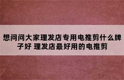 想问问大家理发店专用电推剪什么牌子好 理发店最好用的电推剪